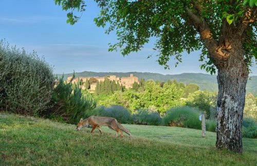 La Locanda Volpaia - Foto 41
