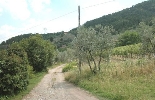 Farmhouse in Tuscany Near Renaissance Villa - Foto 80