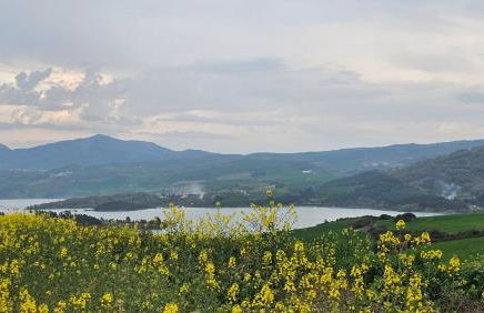 Casa Nahia Hostal Rural - Foto 69