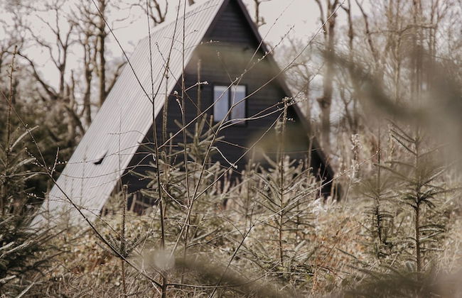 Drumhierny Woodland Hideaway - Foto 34