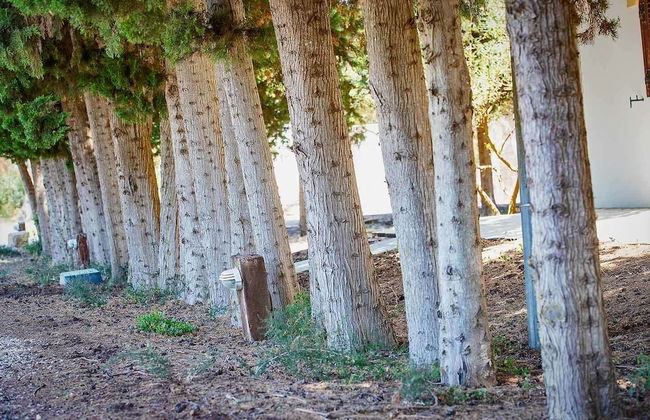 Torre Casciani - Foto 74