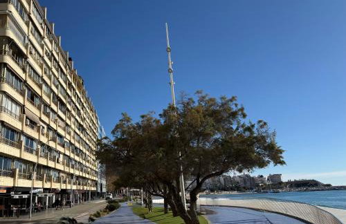 Poniente Beach Benipark Appartment - Foto 19