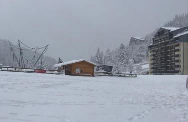 studio tout confort au pied des pistes du lioran - Foto 10