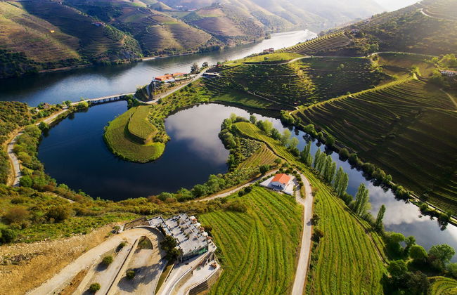 Vila Gale Douro Vineyards Hotel - Foto 73
