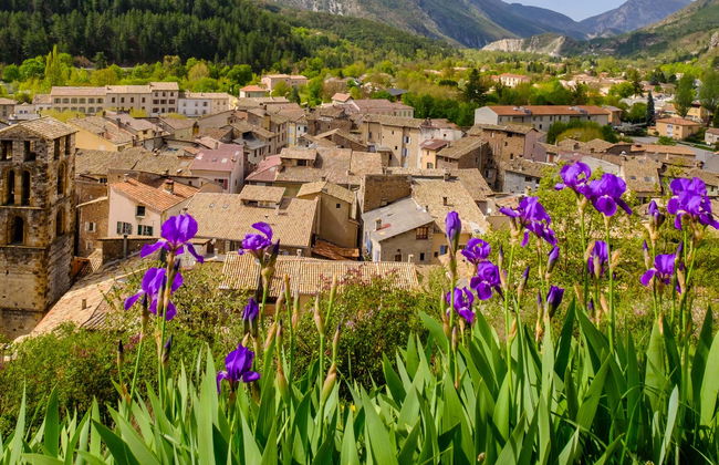 Castellane, Moustiers-Sainte-Marie e lago Sainte-Croix - Foto 2