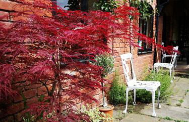 Lupin Cottage at Boningale Manor - Foto 9