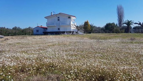 Silver villa Raches maisonette & Green - Foto 4, Garden