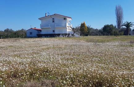 Silver villa Raches maisonette & Green - Foto 4