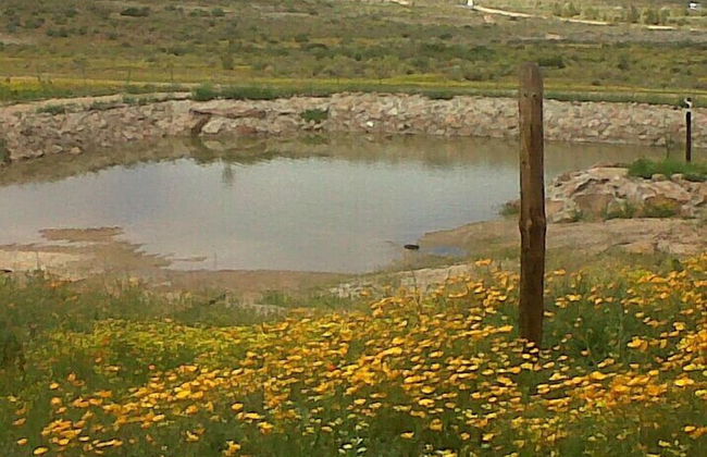 Namastat Lodge & Caravan Park - Foto 10