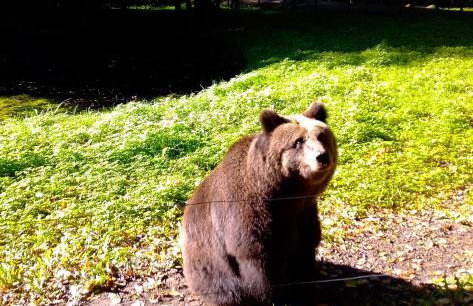 Apartment Kletterrose, Seenähe, Mecklenburgische Seenplatte - Foto 25