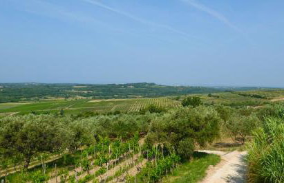 Villa Sofia - Foto 47