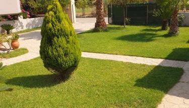 Εξοχικό Σταμάτη - Foto 4, Garden