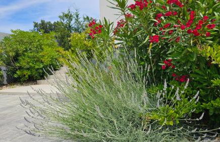 Apartments with Pool Casa Bianca - Foto 66