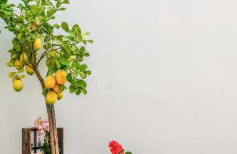 Appartamento Marirò - Photo 47