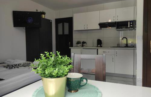 Pokoje i apartamenty u Sabiny - DOSTĘP DO JACUZZI TYLKO W WYBRANYCH OPCJACH sprawdź poniżej szczegóły rezerwacji - Photo 66