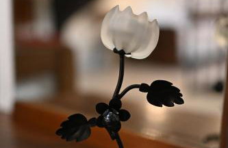 Apartman studio Baladur - Foto 34