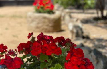 Villa Marichu. Piscina, BBQ y a 15 min Puy du Fou - Foto 19