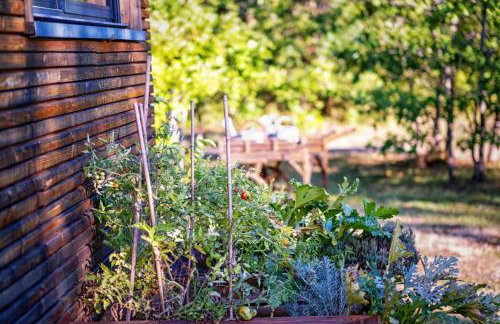 L'Ecrin de Bois - Maison d'architecte avec Spa sur un grand terrain arboré - Foto 22