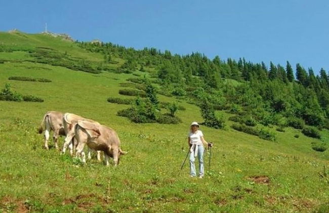 Welcoming Apartment near Forest in Vordenberg - Foto 14