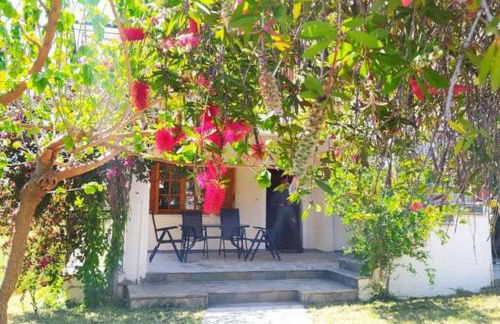 Greek village life by the sea - Foto 9