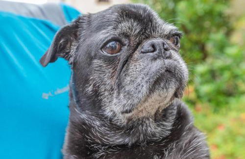 9 Bed in Nether Stowey oc-c30194 - Foto 79