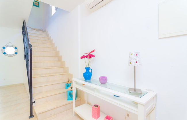 Bugambilia in Sa R Pita - Foto 20