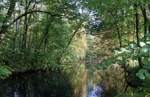 Ferienwohnungen "Zur Friesen Freude" - nur für Feriengäste - Foto 43