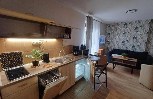 Apartamenty LeVilla - Foto 71