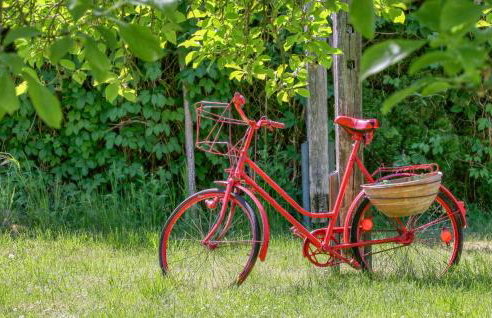 Ferienwohnung Jabel - Photo 13