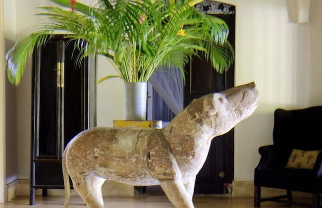 Galle Henna Estate - Foto 2