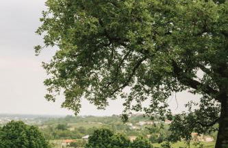 La Ghiandaia Farmhouse - Photo 15