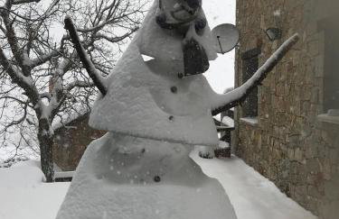 Pinecone Lodge, Eptalofos Wellness Garden Chalet - Foto 63