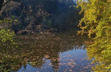 Ferienwohnung in dem schönen Kurort Bad Dürkheim - Foto 15