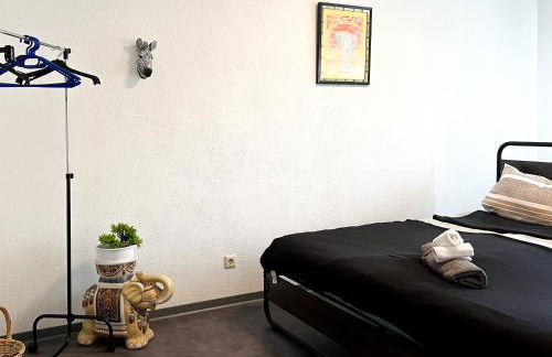 Helle 2 Zimmer Wohnung mit Balkon gemütlich & zentral - Foto 6