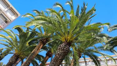 Home2Sea - Piscine, Jardin, studio cabine, 1 canapé lit convertible 2 ADULTES, 1 lit superposé triple 3 ENFANTS ou ADOS - Foto 5