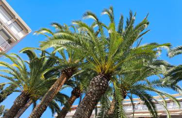 Home2Sea - Piscine, Jardin, studio cabine, 1 canapé lit convertible 2 ADULTES, 1 lit superposé triple 3 ENFANTS ou ADOS - Foto 5