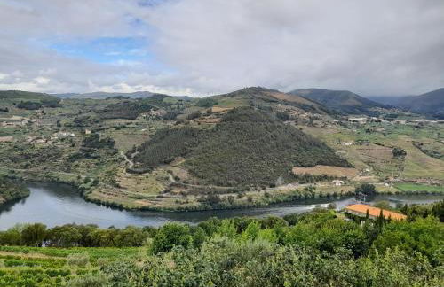 Lemon Tree Cottage at Terrus Winery - Foto 10