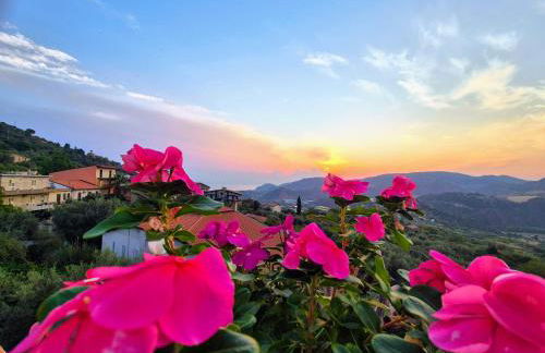 Palazzo Cavallari - Foto 22