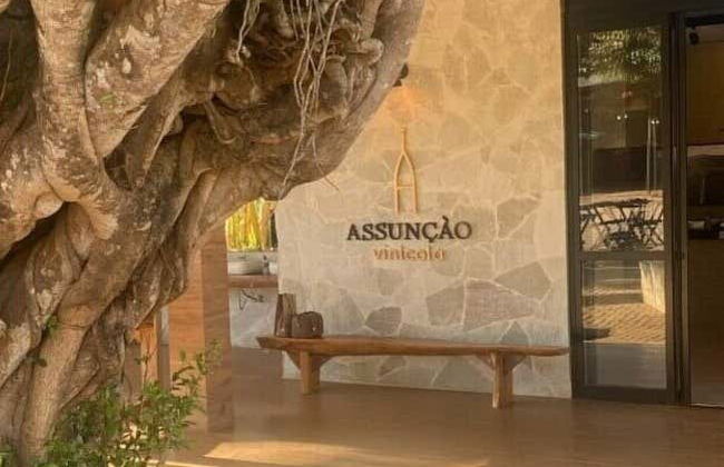 Assunçao Winery Tour - Foto 8