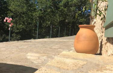 L'Olivier Fleurie Barjols - Foto 56