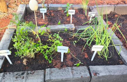 Recanto Vista do Sol- PISCINA AQUECIDA e Playground - 50 min de BH - Foto 34