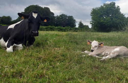 Le Cottage de L Abbaye - Photo 38