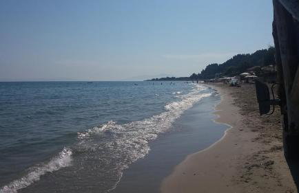 Posidi Studios - Foto 7