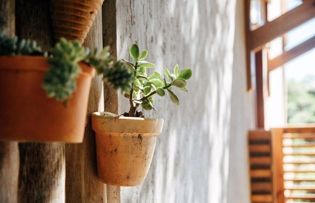 Casa de Praia no Rosa Vista Espetacular - Foto 24