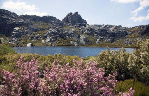 Mountain Lodge T3 Duplex Abrigo do Lobo - Foto 64