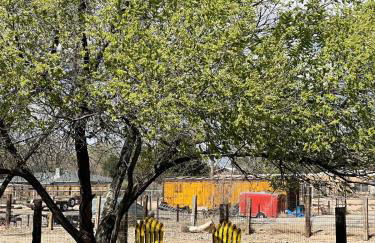 Chasing Sunsets and Serenity - Foto 22