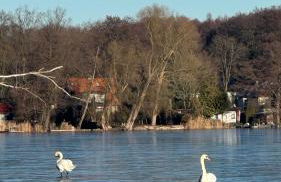 Cottage - Kleine alte Villa am See - Foto 9