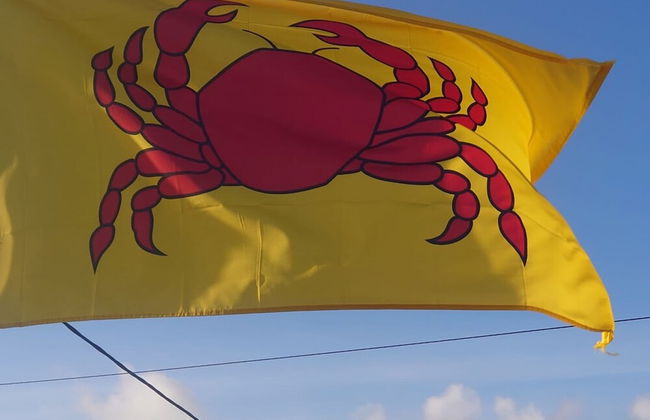 The Crabshack Cottage Normans Bay Pevensey - Foto 56