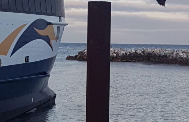 Trading Places - Photo 22