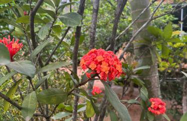 Sítio no Rio de Janeiro, privativo, Natureza, conforto e lazer em Nova Iguaçu, RJ - Foto 41